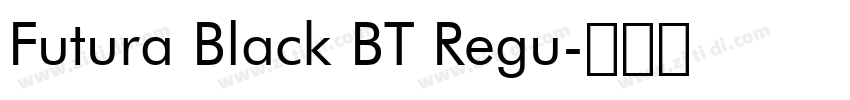 Futura Black BT Regu字体转换